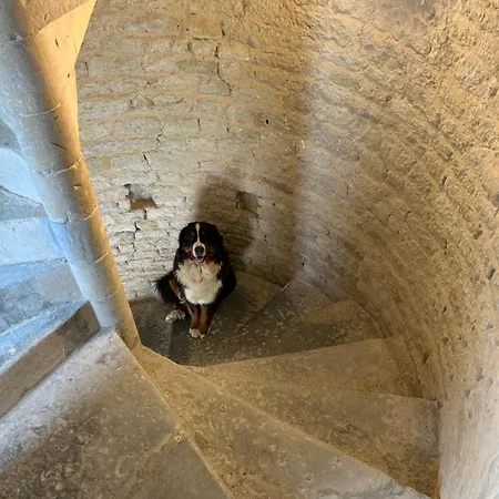 Проживание в семье Chateau De Franquetot & D Day Collins Museum Сент-Мер-Эглиз