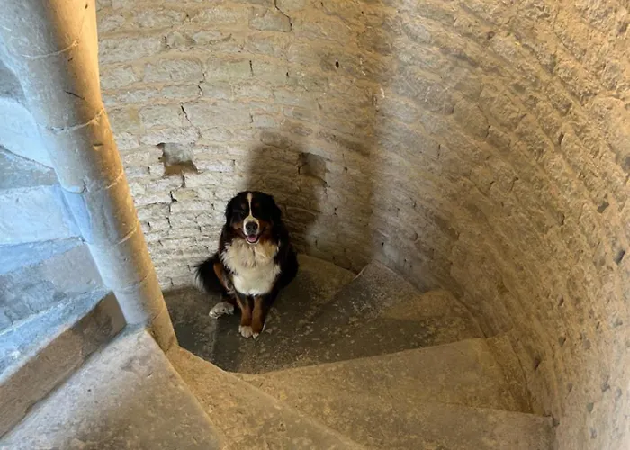 Quarto em Acomodações Particulares Château De Franquetot&d Day Collins Museum Sainte-Mère-Église